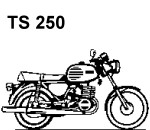 TS 250