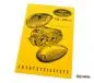 Preview: Ersatzteilkatalog Jawa 125 150 Typ 351 352 deutsch
