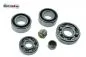 Preview: Lagersatz Motor JAWA 638 639 640 inkl. Nadellager Preview: Lagersatz Motor JAWA 638 639 640 inkl. Nadellager