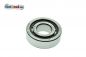 Preview: Zylinderrollenlager SKF NJ203 RT125/1/2 SR56