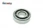 Preview: Zylinderrollenlager SKF NJ203 RT125/1/2 SR56