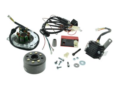 RZT Zündung Delta 21 für MZ ETZ 125 150 250 251 M20