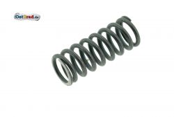 Kupplungsfeder passend für MuZ RT 125 SM SX