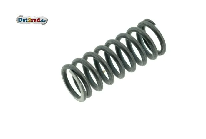Kupplungsfeder passend für MuZ RT 125 SM SX