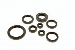 Satz Wellendichtringe Motor 8-teilig SIMSON AWO -T 425 FKM braun