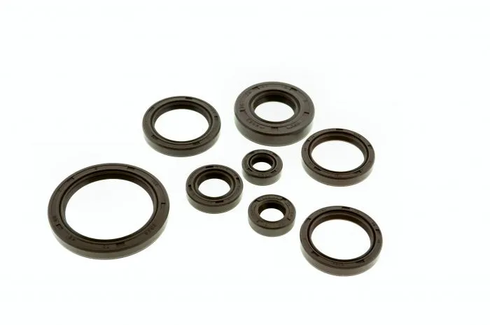 Satz Wellendichtringe Motor 8-teilig SIMSON AWO -T 425 FKM braun