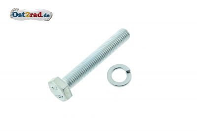 Screw with spring washer for rear suspension struts MZ, below