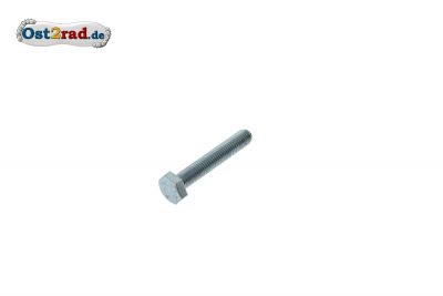 Hexagon screw M6, galvanized