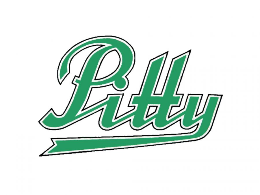 Aufkleber Knieblech Pitty grün