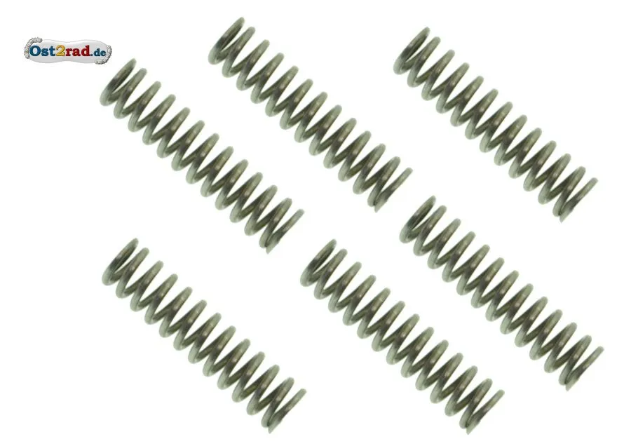 Kupplungsfeder Satz ES ETS TS 125 150 RT125/3 Kupplungsfeder Satz ES ETS TS 125 150 RT125/3