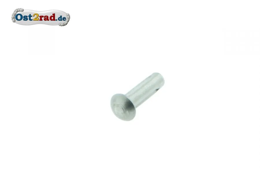 Senkkerbnagel 2,5x6 Kontaktfeder Bremsnocke Hinterrad passend für MZ Senkkerbnagel 2,5x6 Kontaktfeder Bremsnocke Hinterrad passend für MZ