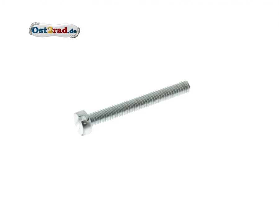 Schlitzschraube Zylinderschraube M4x30 für Spulen Grundplatte Schlitzschraube Zylinderschraube M4x30 für Spulen Grundplatte