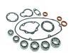 Dicht- und Lagersatz für MZ TS125 TS150 außenliegende Wellendichtringe FKM braun