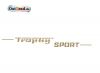 Aufkleber Trophy Sport gold Seitendeckel passend für MZ ETS 250