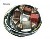Grundplatte komplett 12V 42/21W Bilux S51 S70 S53N elektronik