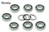 Lagersatz -SKF- ES250/1 ES300 ES250/2 ETS250 TS250/0 OHNE NADELLAGER