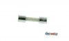 Glassicherung 1A SIMSON S50 S51 Vogelserie